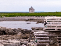 Nameless Cove, Nowa Fundlandia